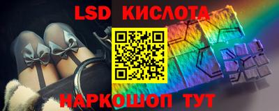 шишки Заволжье