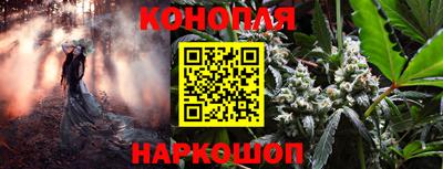 сатива Жуковский