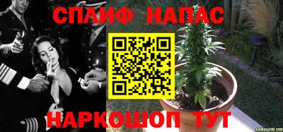 шишки Заволжье