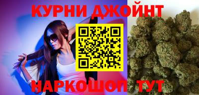 сатива Жуковский