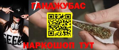 шишки Заволжье