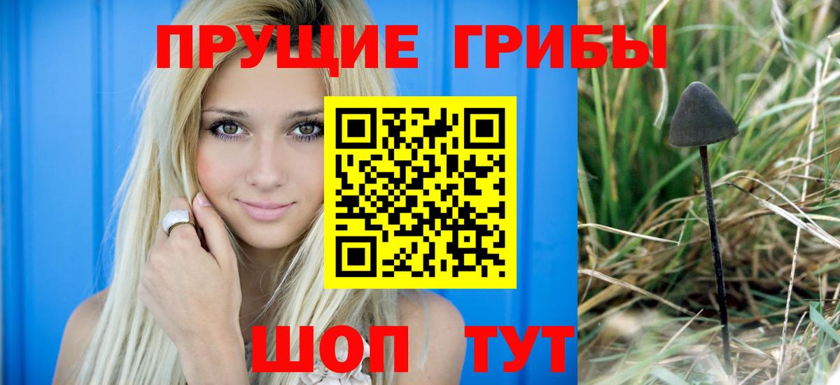 Галлюциногенные грибы ЛСД  Вход с VPN  Кушва 