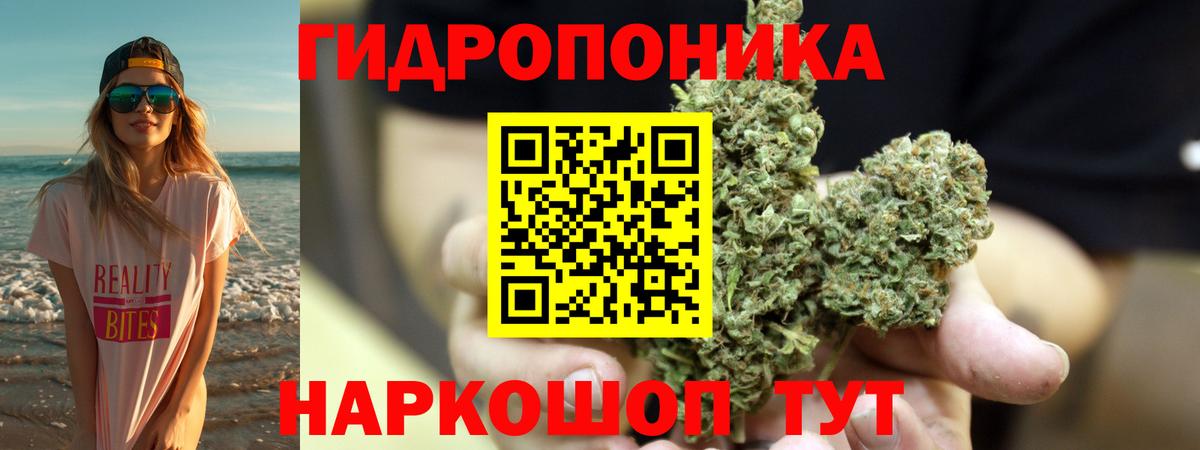 Шишки марихуана Amnesia Кушва